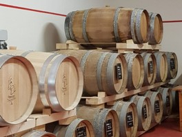 Agona02.jpg