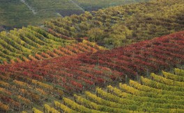 Cascina_Crosa_06.jpg