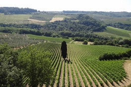 Castelvecchio_01.jpg