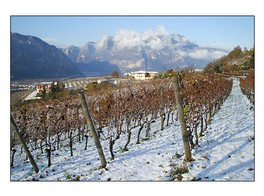 Fanti_azienda-02.jpg