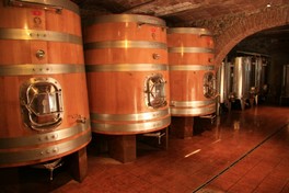 MacchionLupi_Carlo Parenti_05.JPG