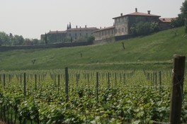 Montedelma_5.jpg