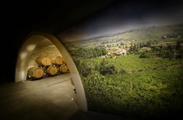cantina-valpolicella-classico-vino_03.jpg