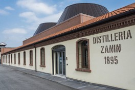 zanin-1.jpg